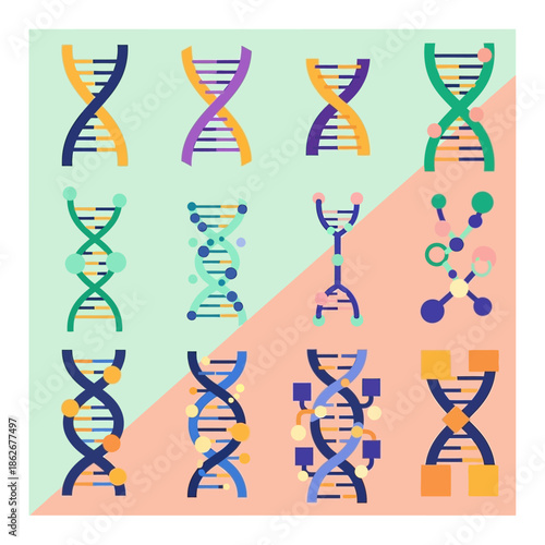Colorful DNA Double Helix Structures and Molecules.