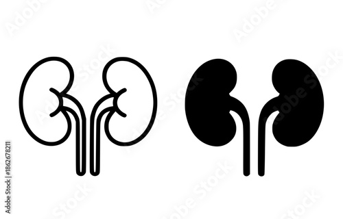 Kidney illustration icon, outline and silhouette