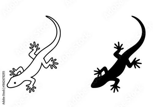 Lizard illustration icon, outline and silhouette