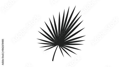 Black silhouette of a tropical fan palm leaf isolated on a white background, representing summer, nature, and exotic vibes.