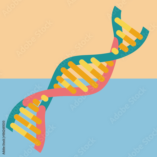 Colorful illustration of a DNA double helix structure.