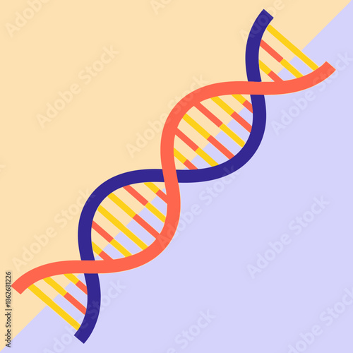 Colorful illustration of a DNA double helix structure on a split background.