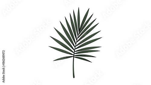 A simple, colored illustration of a green tropical palm leaf, representing nature, summer, and exotic travel destinations.