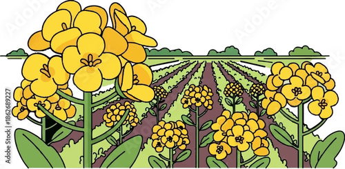 An illustrative drawing of a field with rows of green plants and many bright yellow flowers
