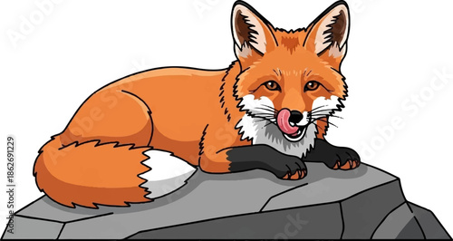 Cartoon red fox with white chest and black paws, licking its nose while resting on a grey rock