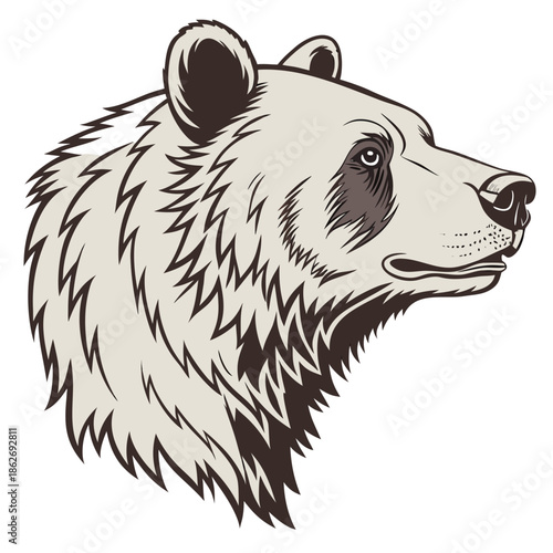 Realistic Brown Bear Head Illustration on White Background