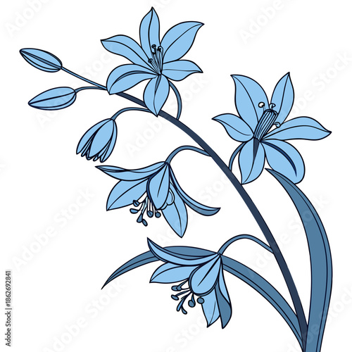 Elegant Realistic Blue Orchid Flower, Isolated White Background
