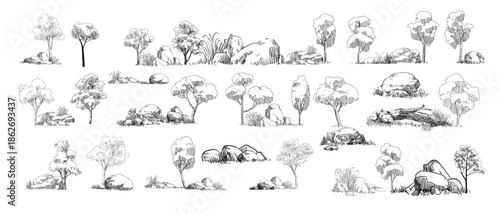 Sketches of various trees and bushes with rocks in a natural setting.
