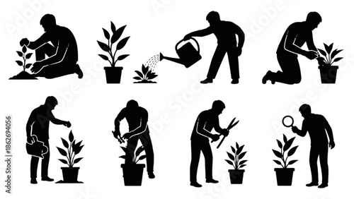Gardening Activities Planting, Watering, Pruning, and Examining Plants