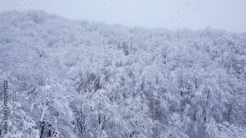 winter landscape with snow covered trees
