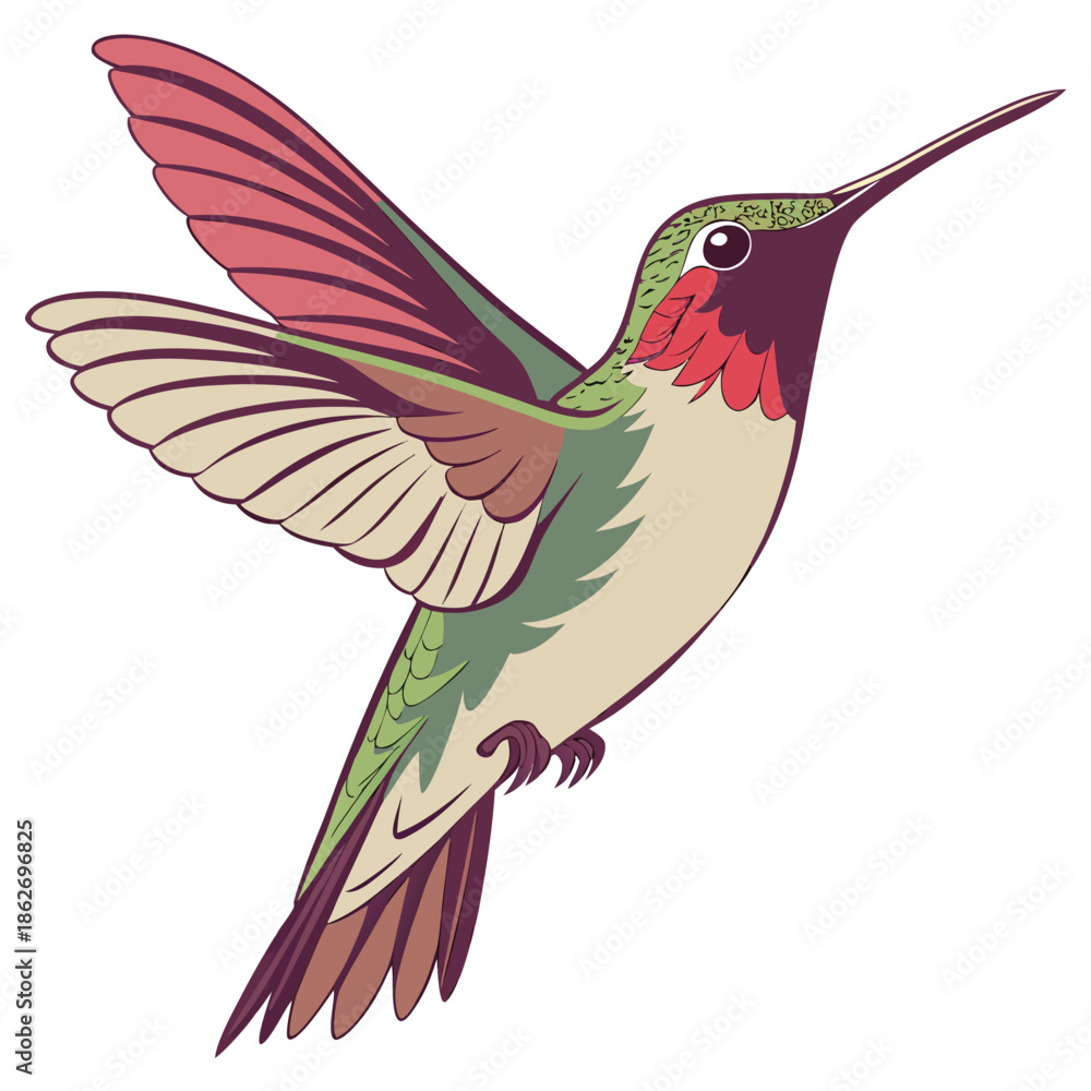 Obraz premium Realistic Hummingbird Hovering with Blurred Wings on White