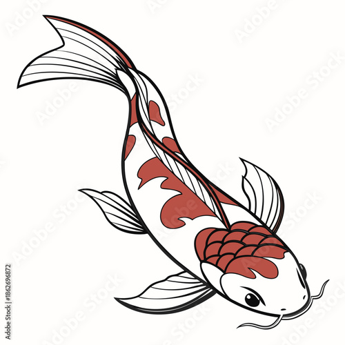 Detailed Japanese Koi Carp Swimming Isolated on White