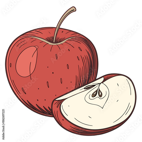 Shiny Red Apple Illustration with Texture on White