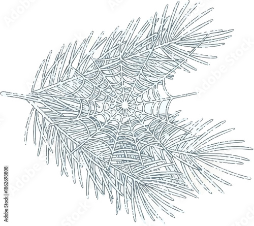Detailed line art illustration of a spiderweb stretched between delicate pine tree needles on a white background