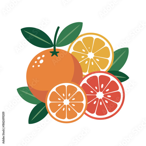 Citrus fruit arrangement shows healthy grapefruit and oranges with.