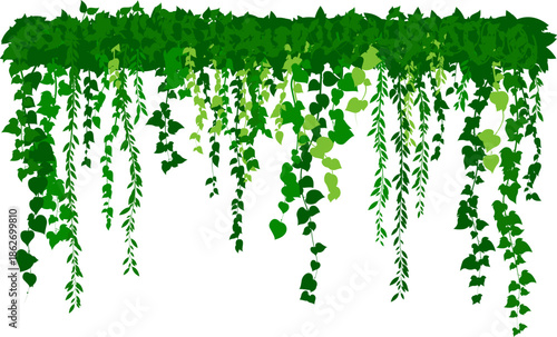 Hanging plants. Various green plants branches wall. Simplistic foliage border. Horizontal isolated vector decoration.