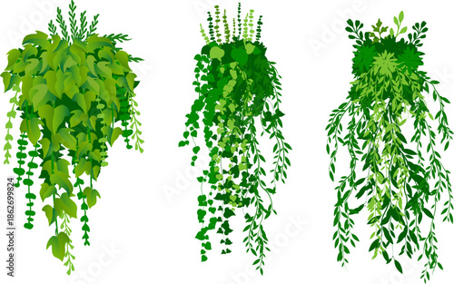 Hanging plants. Various green plants branches wall. Simplistic foliage border. Horizontal isolated vector decoration.