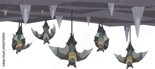 Illustration of bats hanging upside down from a cave ceiling with stalactites, in a flat, cartoon style