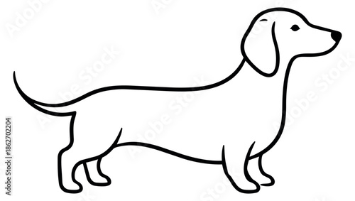 Hand drawn line art illustration of a dachshund dog depicting a standing profile for pet related designs