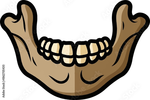 Stylized cartoon human lower jawbone with brown bone and beige teeth, isolated on white background