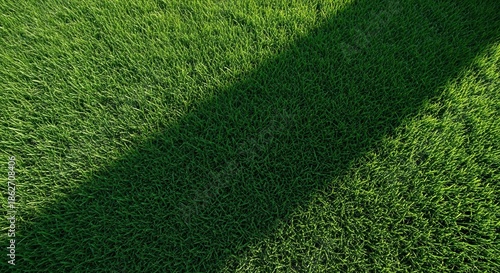 Lush green grass texture with diagonal shadow