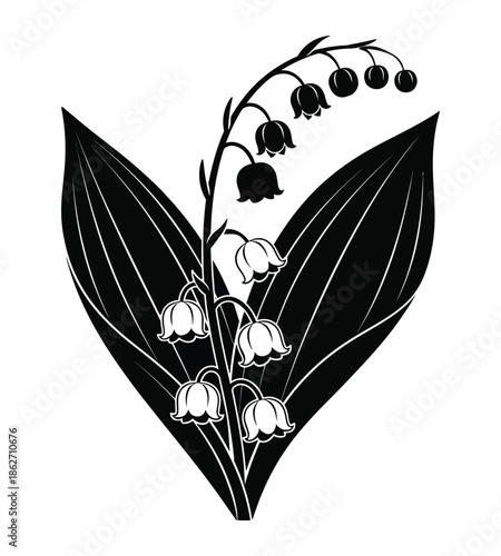 Elegant black and white illustration of a lily of the valley plant with multiple bell-shaped flowers and large leaves, rendered in a classic silhouette style.