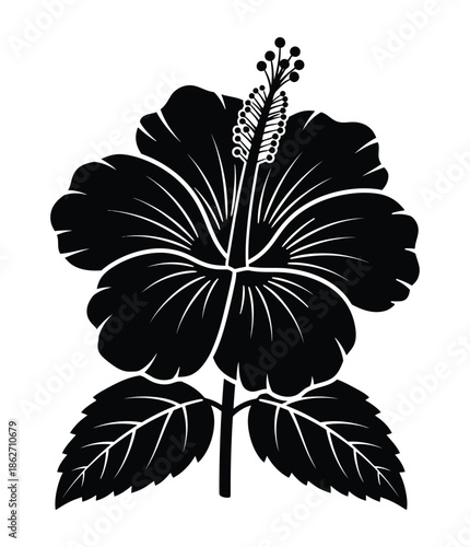 Black silhouette of a tropical hibiscus flower with two leaves, isolated on a white background, showcasing its elegant form.