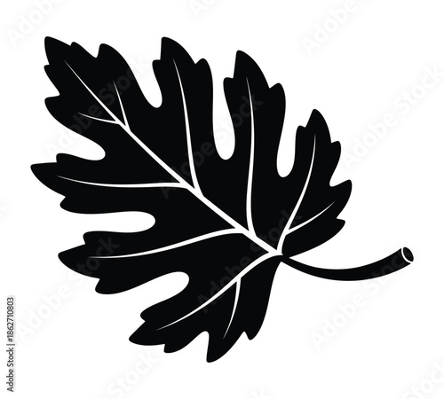 Black silhouette of a single grape leaf with distinct lobes and veins, isolated on a white background, representing viticulture.