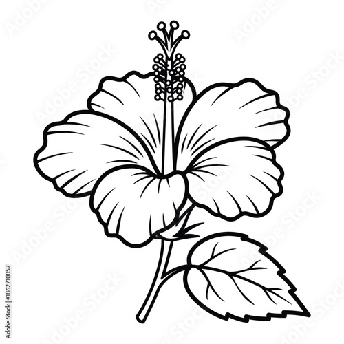 Black and white line art drawing of a single hibiscus flower with a prominent stamen and a single leaf attached to the stem.