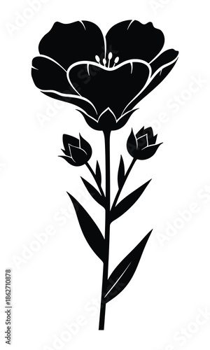 Elegant black silhouette of a single flowering plant with two developing buds on a slender stem, isolated on white.