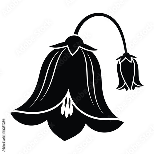 A black silhouette illustration of two drooping bell flowers, one large and one small, on a white background.