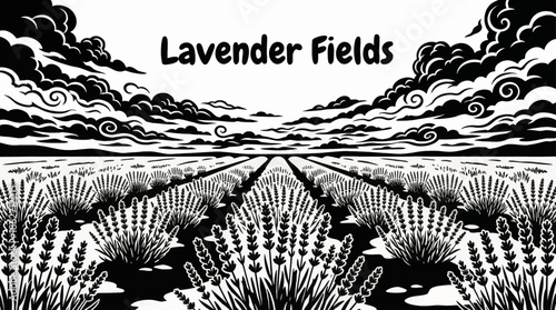lavender fields stretch beneath an open sky, combining color harmony and rural beauty black and white, creating a highly marketable and soothing natural landscape scene