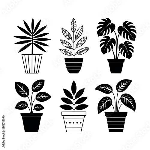 Six stylized potted houseplants displayed in simple black and white.