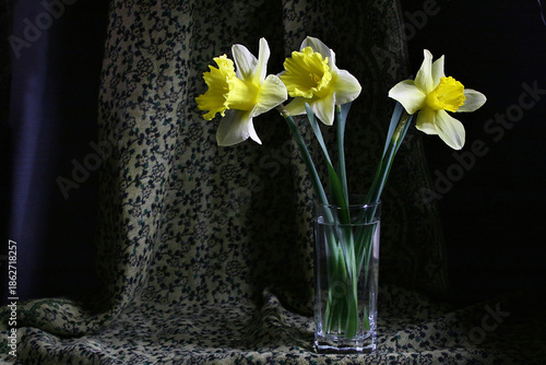 Photos Still Life with False Daffodils