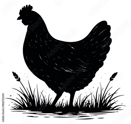 Hand drawn silhouette illustration of a chicken depicting standing in grass for farm and poultry themes