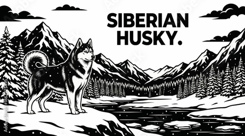 Siberian Husky moves through a snowy wilderness scene, black and white tones highlighting endurance, thick fur texture, and the harsh beauty of cold environments