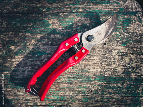 Slika na platnu Rustic pruning shears with red handle on worn wooden surface.