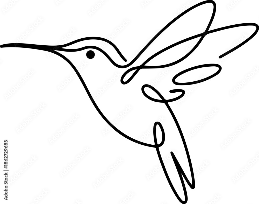 Obraz premium hummingbird vector illustration