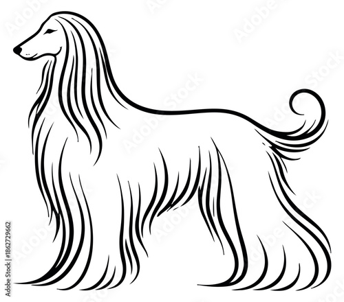 Stylized line art illustration of an Afghan Hound depicting an elegant standing pose for pet related designs