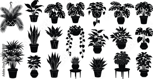 Silhouette set of potted indoor plants, black houseplant collection, tropical monstera and palm icons, cad drawing flat vector illustration