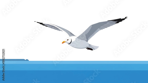 A seagull, with gray wings and a yellow beak, soars above a stylized blue ocean. The background is pure white. Its wings are outstretched