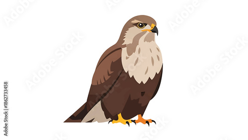 A regal bird of prey, rendered in a simplified graphic style. The hawk is posed in a resting position on a white background