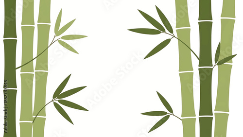 A serene illustration features green bamboo stalks with leaves against a pristine white background. The design is simple, elegant, and nature-inspired