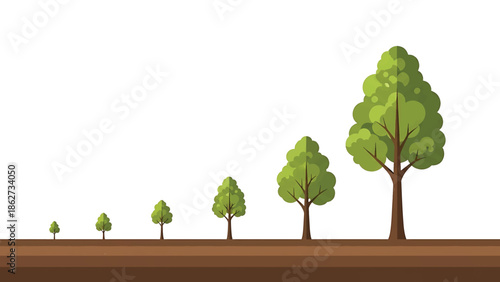 A sequence of trees grows from seedling to mature in layered soil against a stark white backdrop