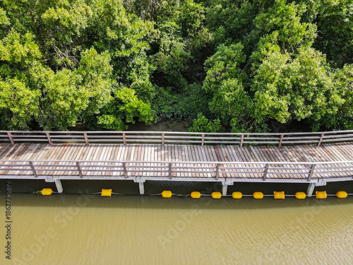 Green mangrove trees beside the river, A scenic landscape view of lush green mangrove trees