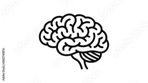 Simple line drawing of a human brain showcasing its complex structure