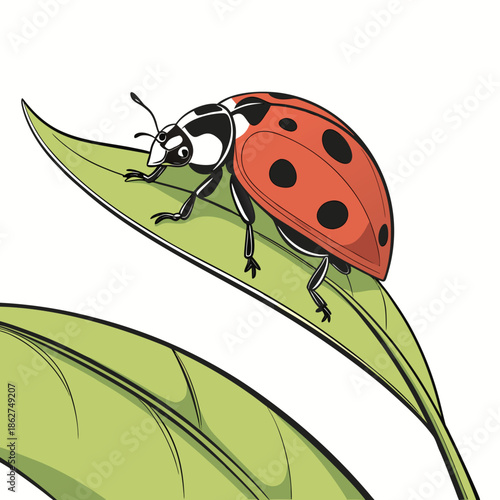 Tiny Ladybug on Green Leaf Macro Style White Background