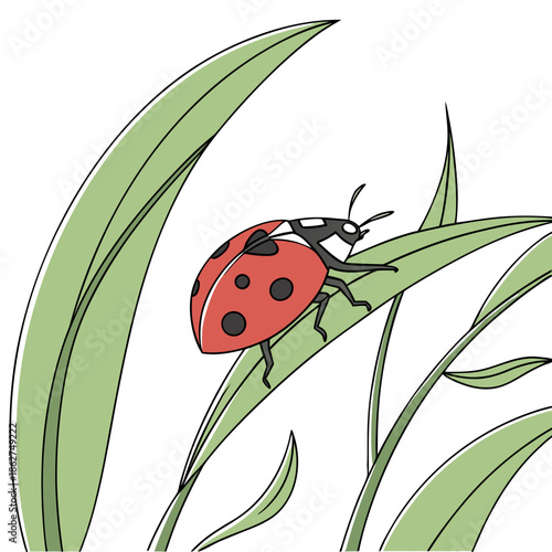 Tiny Ladybug on Green Leaf Macro Style White Background
