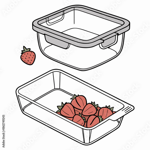 Transparent Food Storage Container White Background