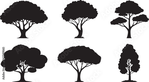 Various types of mature trees with full canopies in dark silhouette against a white background